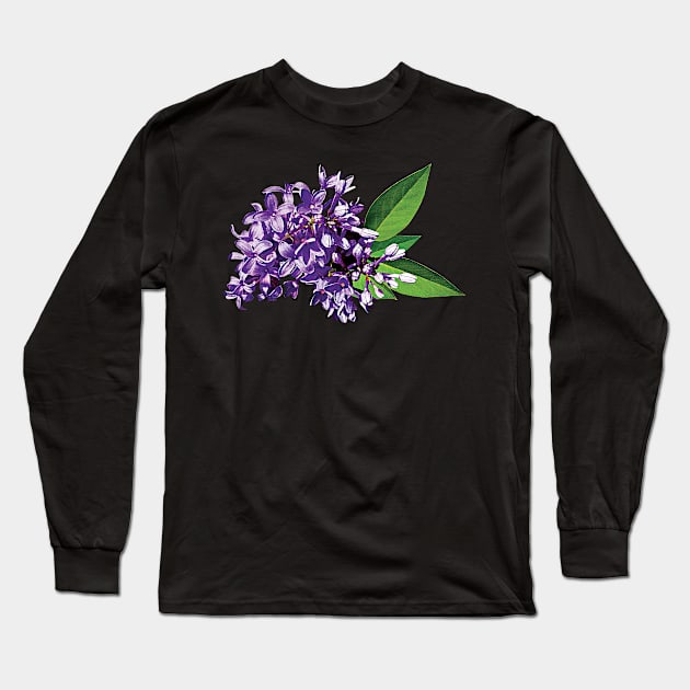 Lilacs - Cluster of Purple Lilacs Long Sleeve T-Shirt by SusanSavad